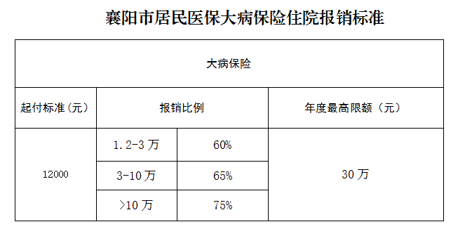 起付线,报销比例襄阳市2024年度城乡居民医保待遇政策解读